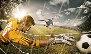必一运动B·Sport 初学篮球训练器材有哪些